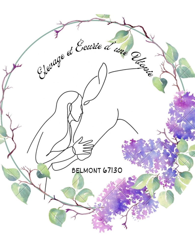 Balade 2h à cheval / poney